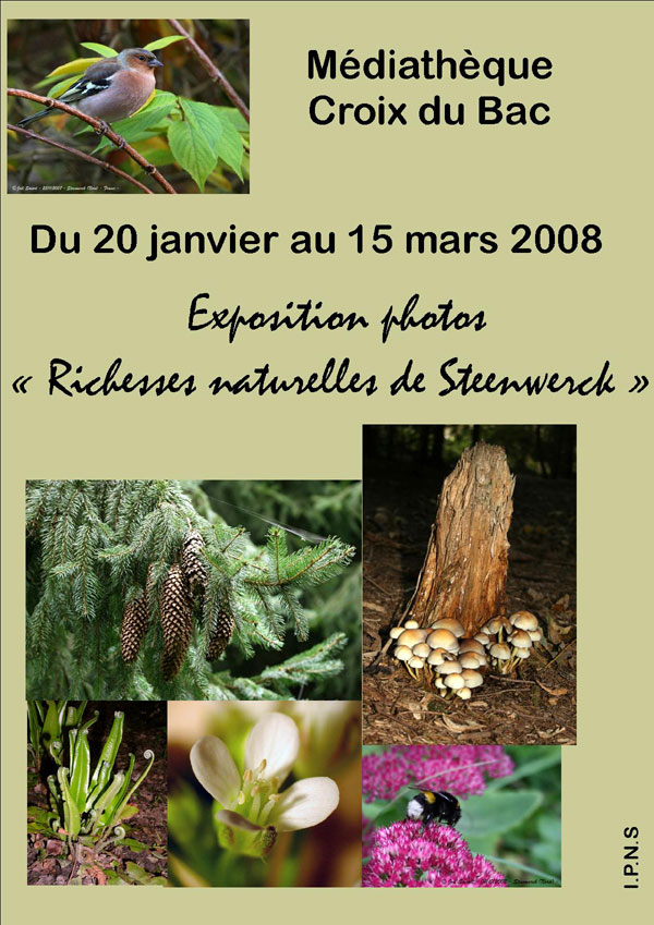 2008-1-richesses-steenwerck