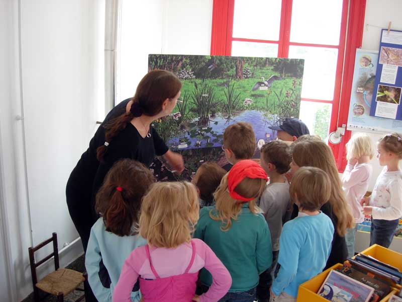 expo autour de la mare 2