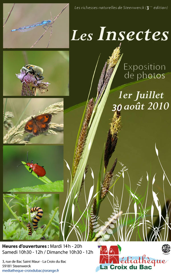 2010-04-affiche-insecte