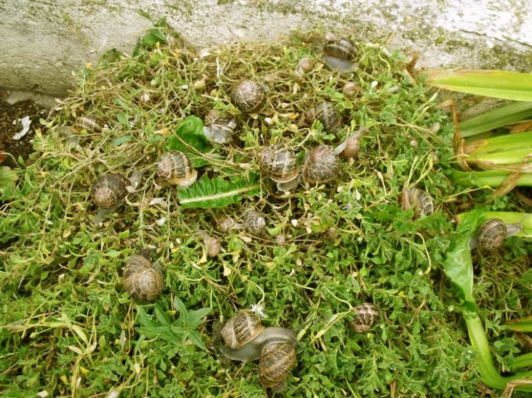 2010_0910vacancesSEPT201000