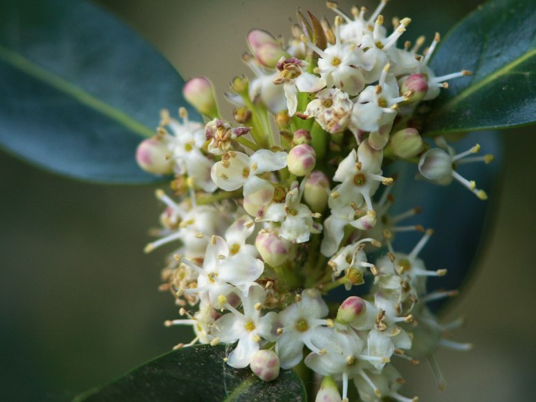 02-05-2011-a-vous-de-devine