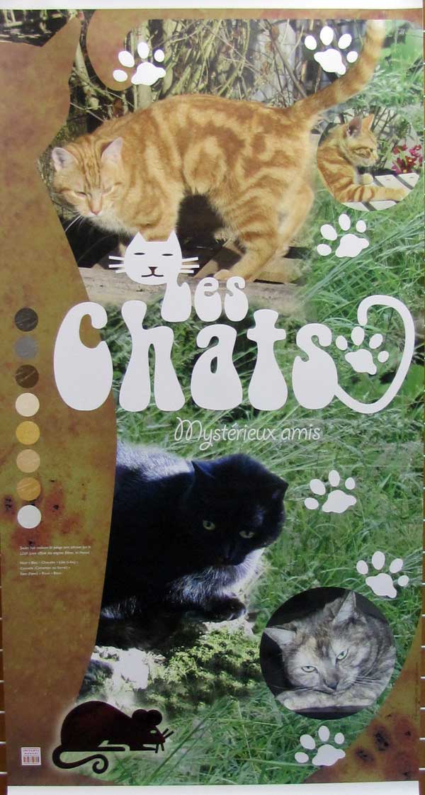 0IANV0PQUuaLo2WoyUefYZ9cuGM