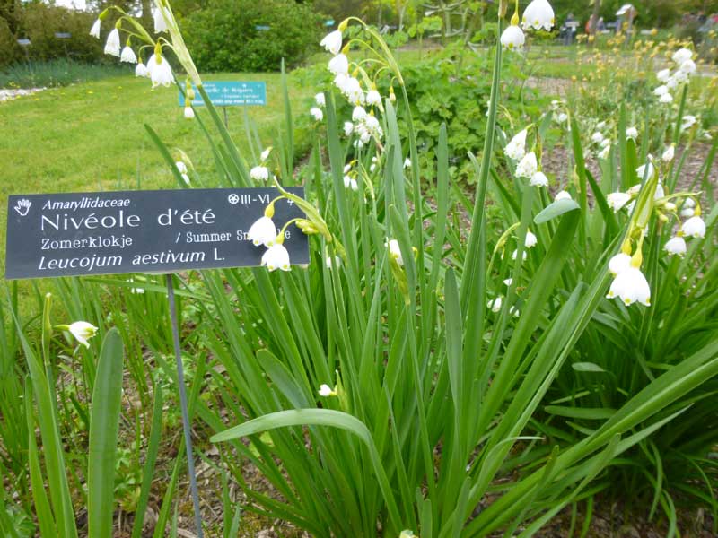 edHcHd7FbIwl5HCcN5GRNAeS2cM