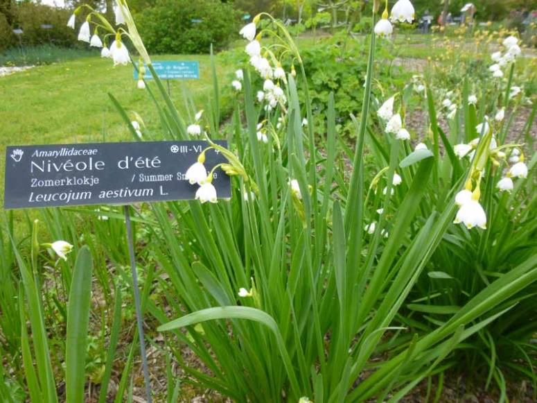 edHcHd7FbIwl5HCcN5GRNAeS2cM