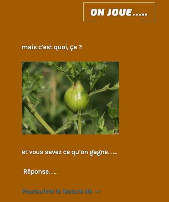 Capture d_écran 2017-06-13 à 14.34.15