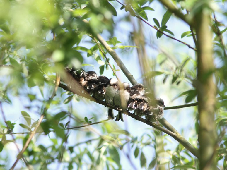 ed2A4KhHYyq0mMOiGDYxI_8D4VM