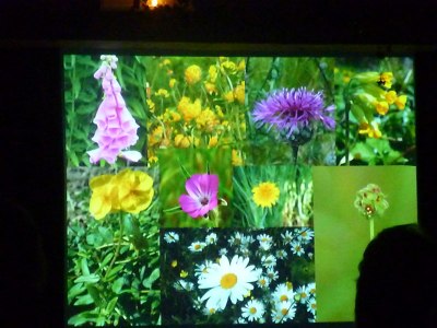 fUETZo3af3g92yAPfm0hAvNz8mI