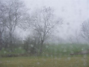 2008_0326ateliers0098