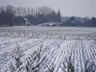 2009_0801fevrier20100042