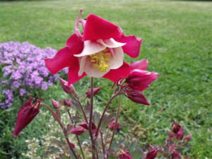 2010_0608marsajuin20100023