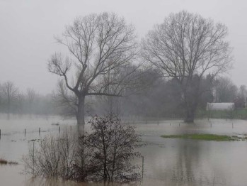 2013_0103novdecembre2012001