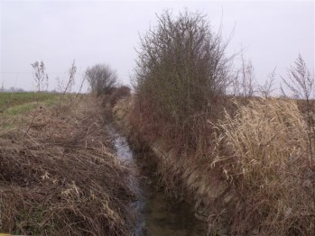 2013_0303mars20130010