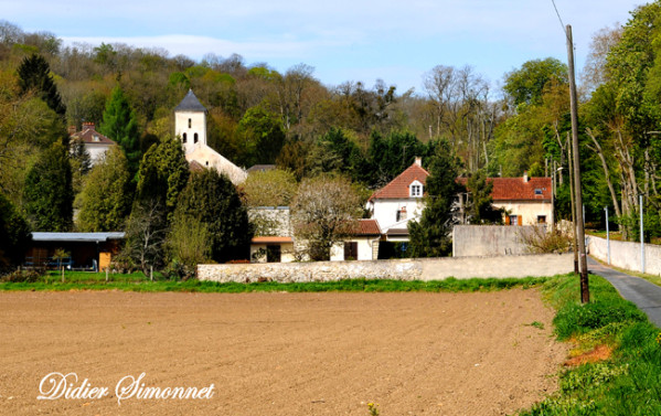 LUZANCY---Seine---Marne---Didier-Simonnet